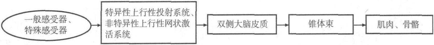 一、概念